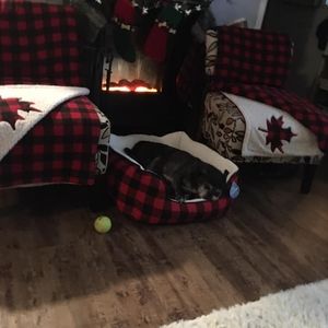 Meet your Posher, Deborah